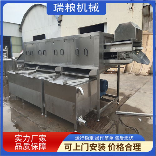 瑞糧機械生產 大姜加工設備 洗姜機器 鮮姜去泥設備