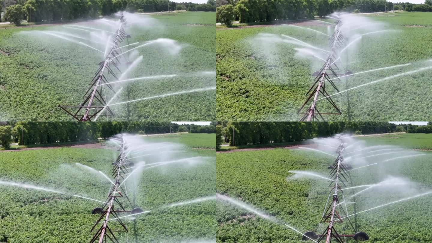 威斯康辛州中部的一片農田正在用灑水系統進行灌溉。