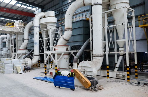 它經(jīng)濟 觀察 中國貓砂展現(xiàn) 科技范 綠色風